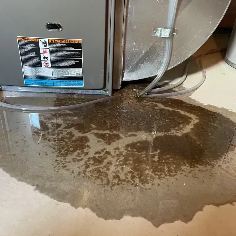 Appliance Leak Cleanup in Energy, IL